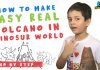 How to make a Volcano DIY Science Experiment!!!