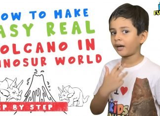 How to make a Volcano DIY Science Experiment!!!