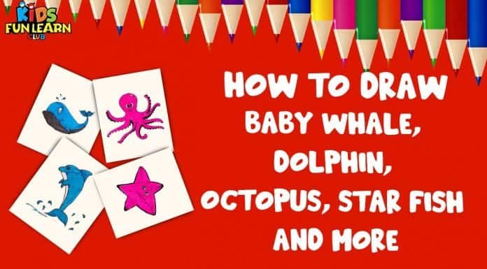 Draw Baby Whale, Dolphin, Octopus, Star Fish