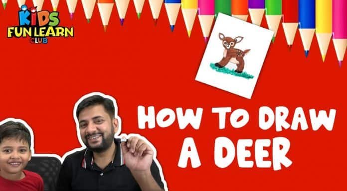 Draw a deer How to Draw a Cute Deer Step by Step Tutorial for Kids and Beginners