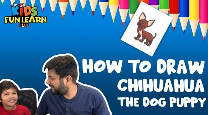 Draw a Chihuahua puppy