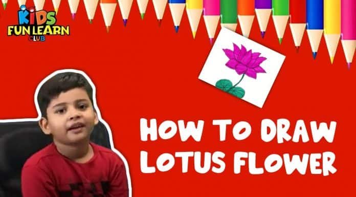 How to Draw a Lotus Flower