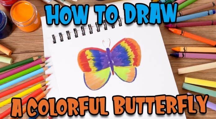 How to draw a Colorful Butterfly easily and step by step | Drawing Tutorials for Kids