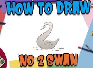 Easy kids step by step drawing with no 2 swan