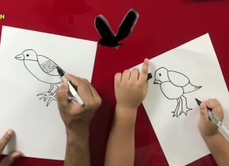 How to Draw easy Bird step by step for Kids | Drawing Tutorials for Kids!