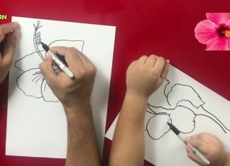 How to Draw easy Hibiscus step by step for Kids | Drawing Tutorials for Kids!