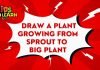 How to Draw a Plant growing from Sprout to Big plant folding Surprise? | Drawing Tutorials for Kids