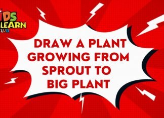 How to Draw a Plant growing from Sprout to Big plant folding Surprise? | Drawing Tutorials for Kids