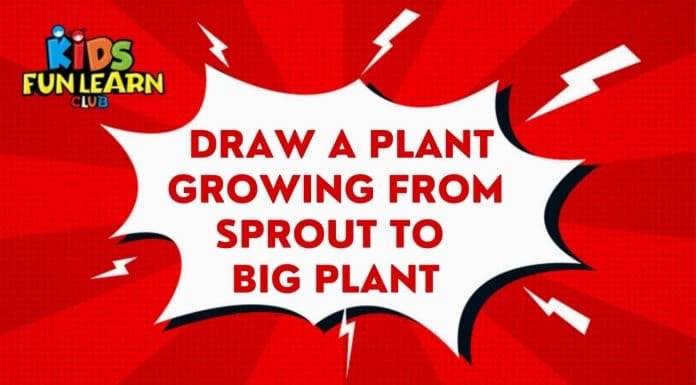 How to Draw a Plant growing from Sprout to Big plant folding Surprise? | Drawing Tutorials for Kids