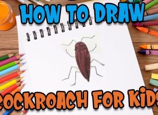 How to Draw Cockroach for kids with Parikshet and Kids Fun Learn Club