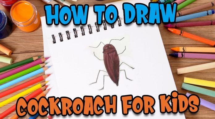 How to Draw Cockroach for kids with Parikshet and Kids Fun Learn Club