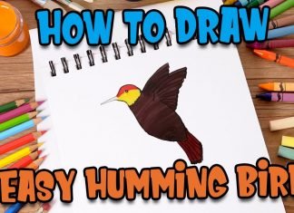 How to Draw easy Humming Bird step by step for Kids | Drawing Tutorials for Kids!