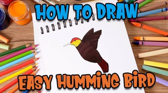 How to Draw easy Humming Bird step by step for Kids | Drawing Tutorials for Kids!