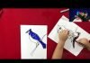 How to Draw easy Blue Jay step by step for Kids | Drawing Tutorials for Kids!