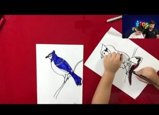 How to Draw easy Blue Jay step by step for Kids | Drawing Tutorials for Kids!