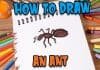 How to Draw an Ant