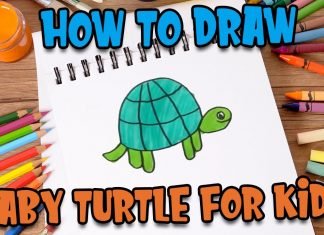 How to draw baby turtle for kids by Parikshet and Kids fun learn club