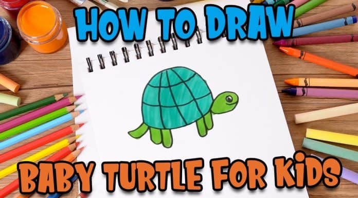 How to draw baby turtle for kids by Parikshet and Kids fun learn club