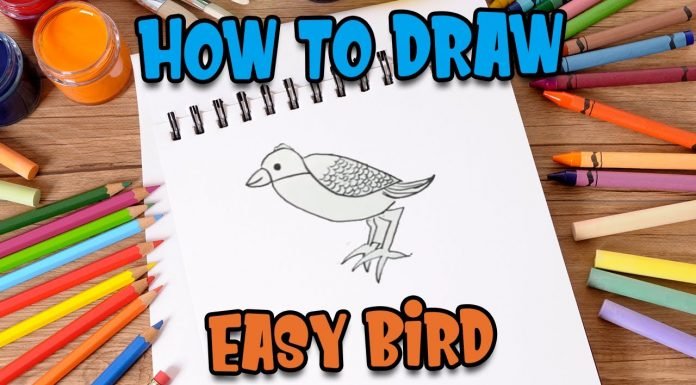 How to Draw easy Bird step by step for Kids #shorts