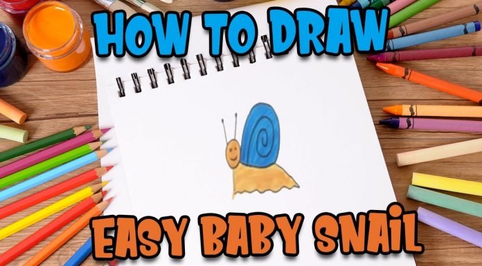 How to Draw easy Snail step by step for Kids #shorts