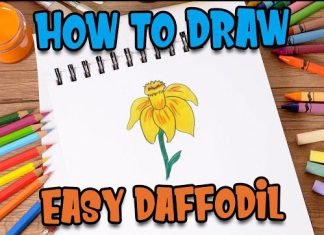 How to Draw easy Daffodil step by step for Kids #shorts
