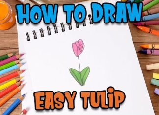 How to Draw easy Tulip step by step for Kids #shorts