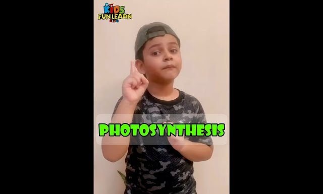 Photosynthesis