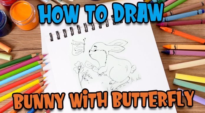 Simple and easy pencil drawing of bunny with butterfly/butterfly drawing with rabbit