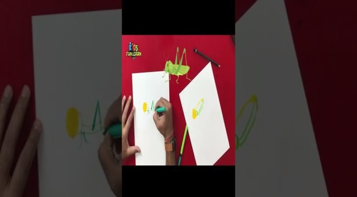 Draw a grasshopper