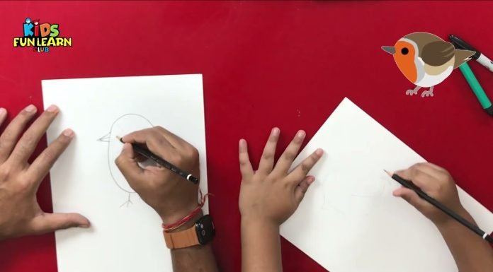 How to draw Robin Bird | Easy step by step drawing of a robin bird