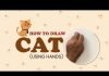 How to draw a Cat using hands print | Easy step by step drawing tutorials for Kids