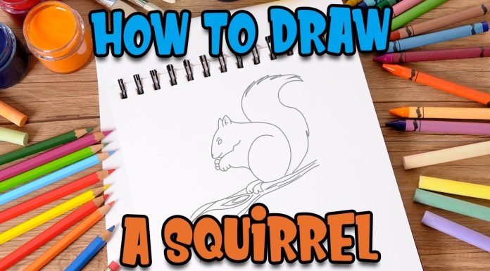 How to draw a squirrel