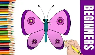 How to Draw Butterfly