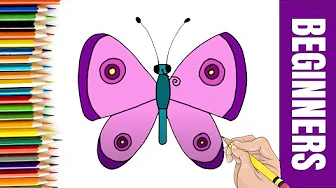 How to Draw Butterfly